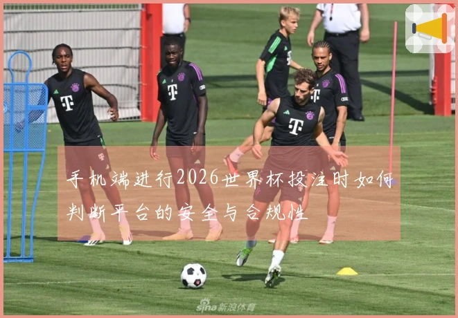 手机端进行2026世界杯投注时如何判断平台的安全与合规性