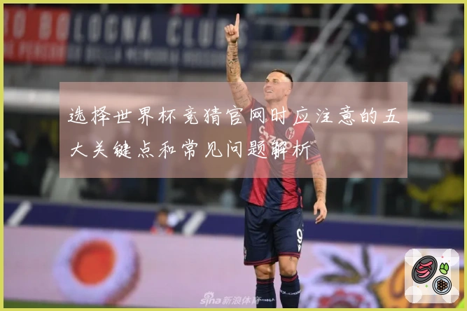 选择世界杯竞猜官网时应注意的五大关键点和常见问题解析