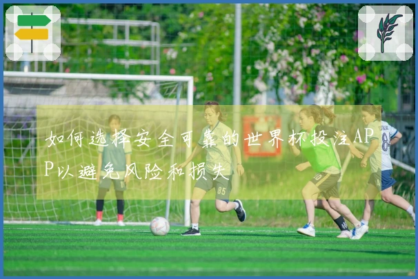 如何选择安全可靠的世界杯投注APP以避免风险和损失