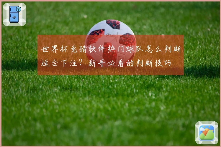 世界杯竞猜软件热门球队怎么判断适合下注？新手必看的判断技巧